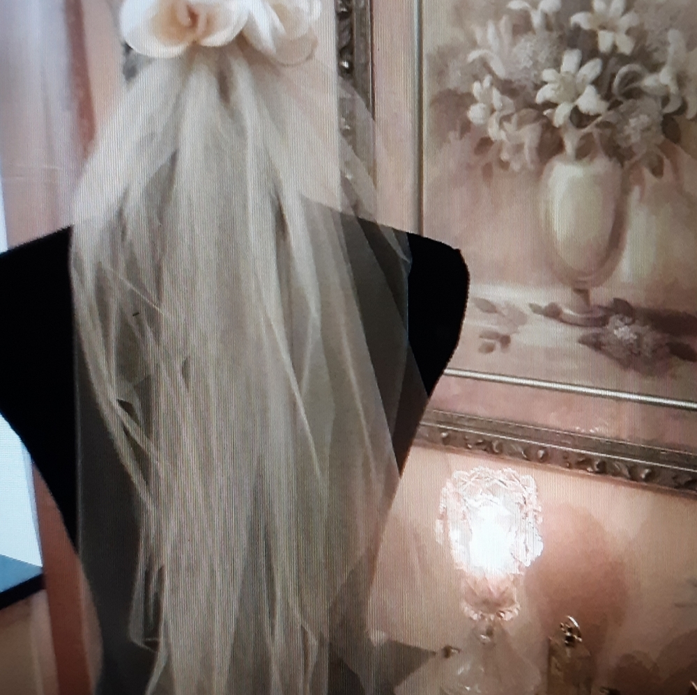 Bridal veil NWT